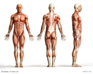 Biometrische Risiken und Biometrie Versicherungen Biometrie Versicherung