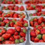 Wieviel Erdbeeren am Tag gesund oder schädlich